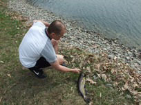 2010 Fish